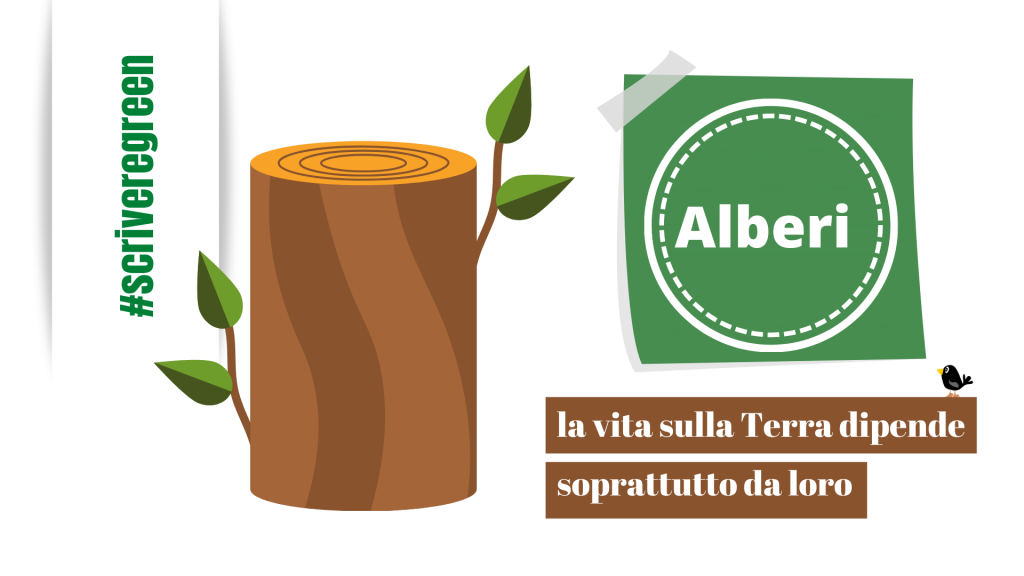 Alberi